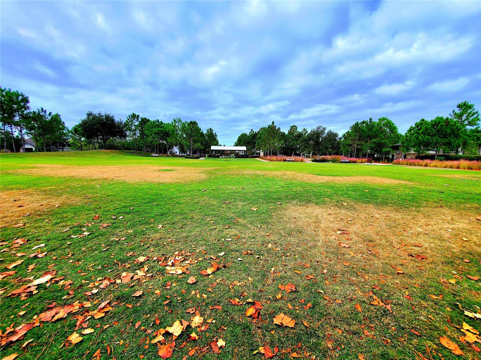 12676 RANGELAND BLVD, ODESSA, FL, 33556