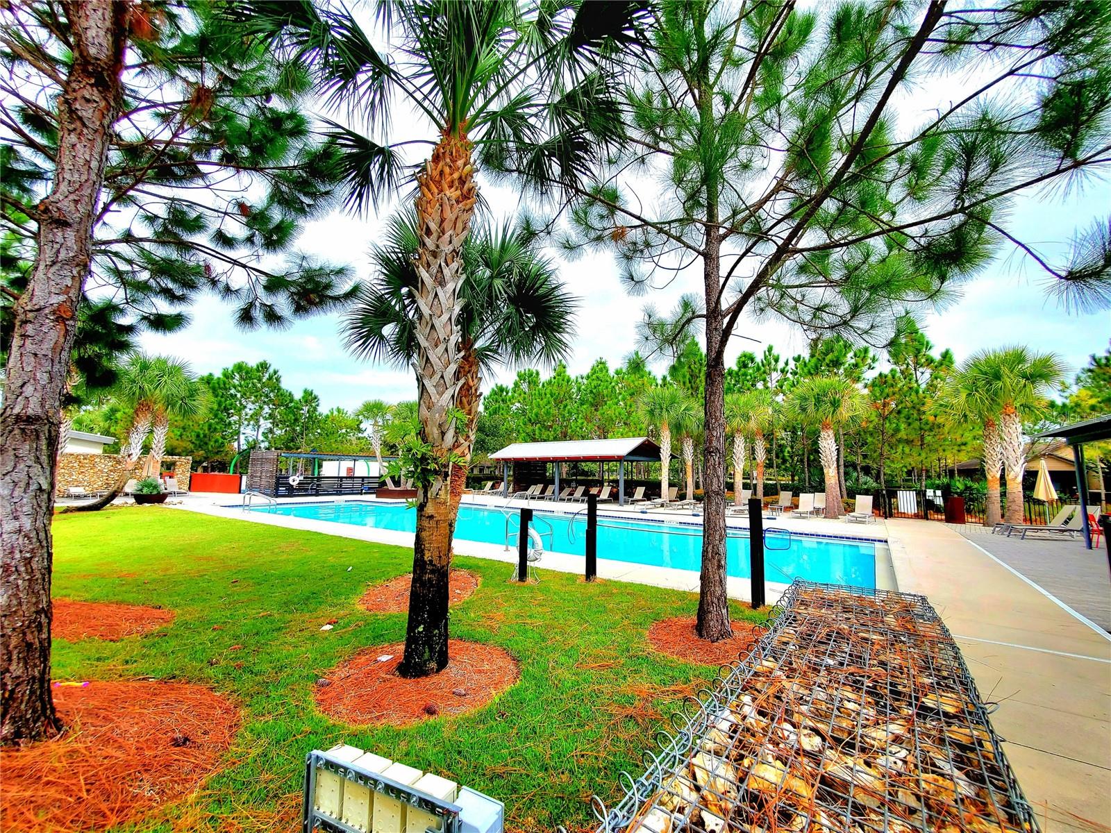 12676 RANGELAND BLVD, ODESSA, FL, 33556