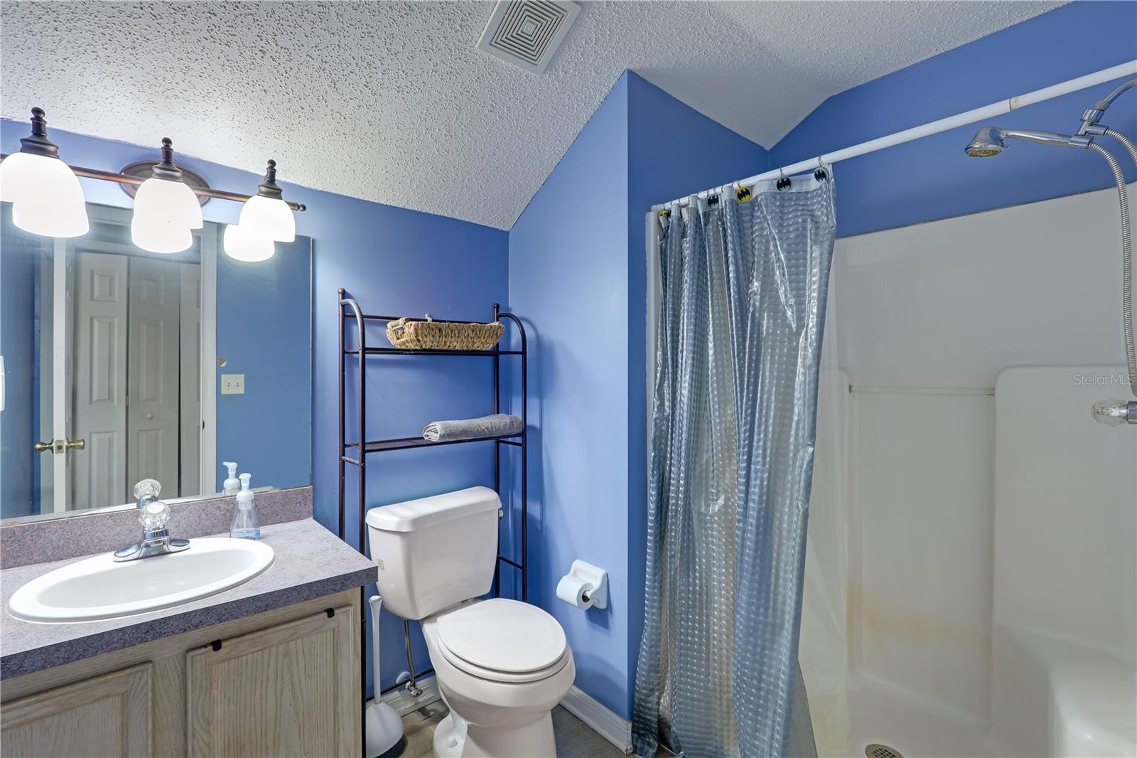 701 CAMP FRANCIS JOHNSON RD, ORANGE PARK, FL, 32065