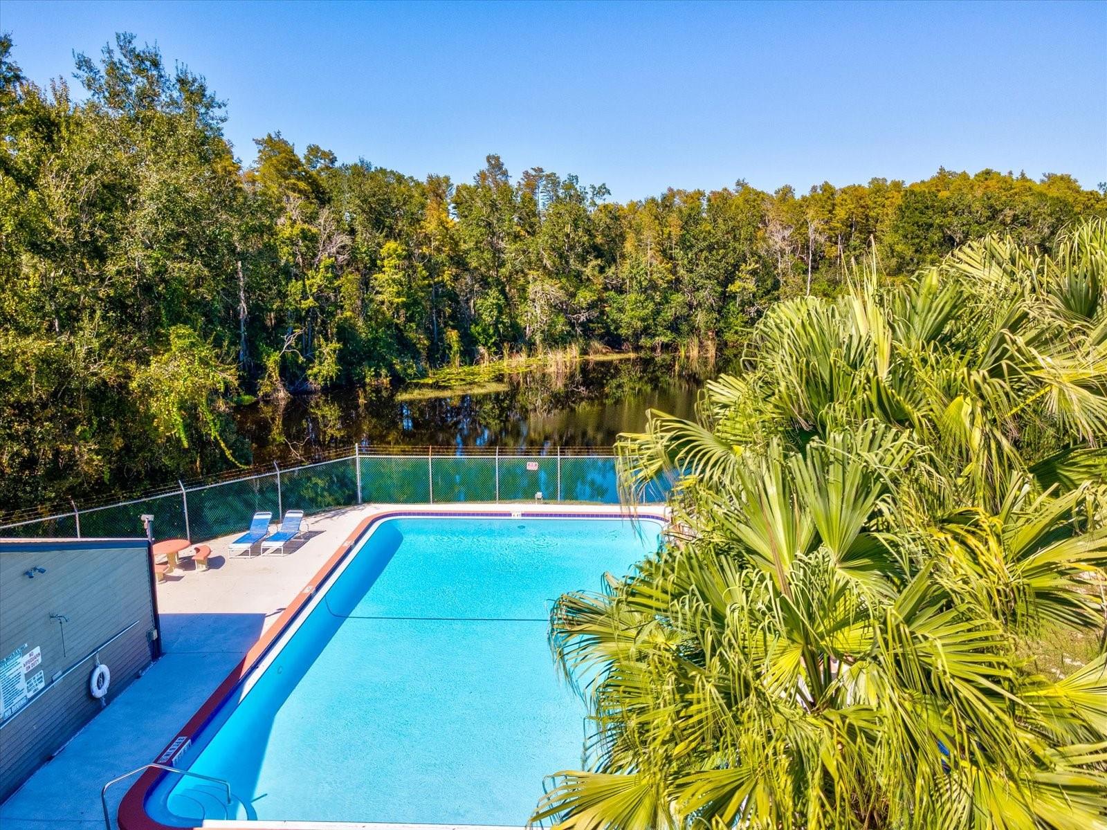 12035 PROCTOR LOOP #5, NEW PORT RICHEY, FL, 34654