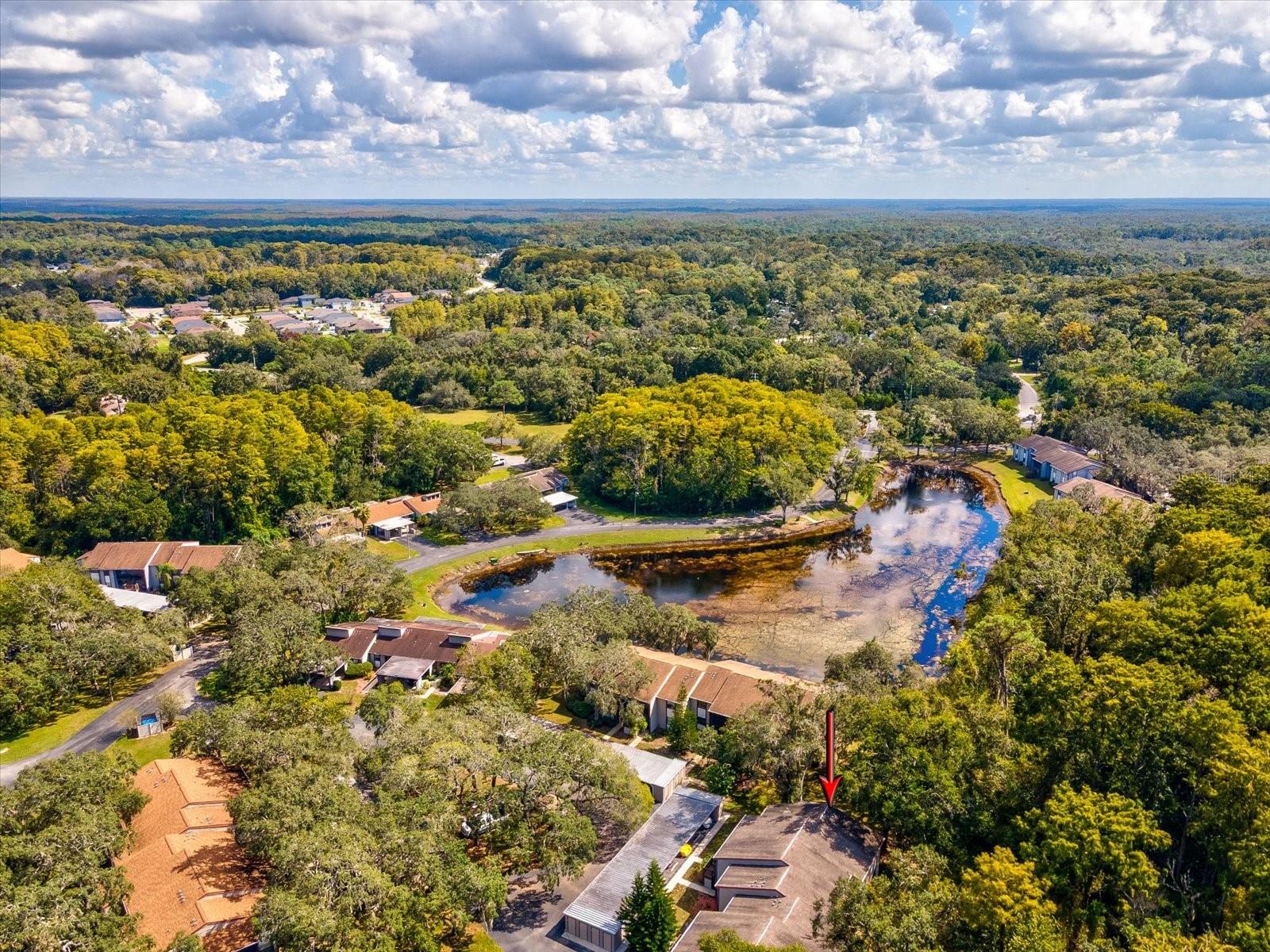 12035 PROCTOR LOOP #5, NEW PORT RICHEY, FL, 34654