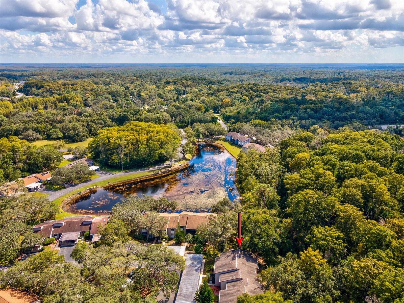 12035 PROCTOR LOOP #5, NEW PORT RICHEY, FL, 34654