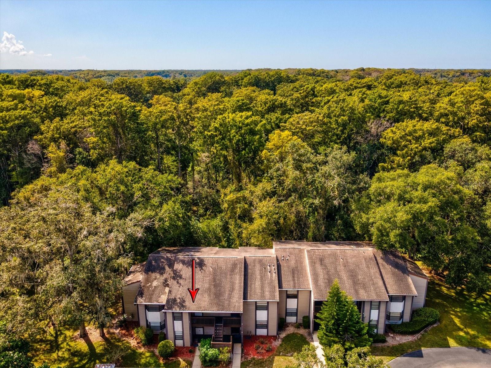 12035 PROCTOR LOOP #5, NEW PORT RICHEY, FL, 34654