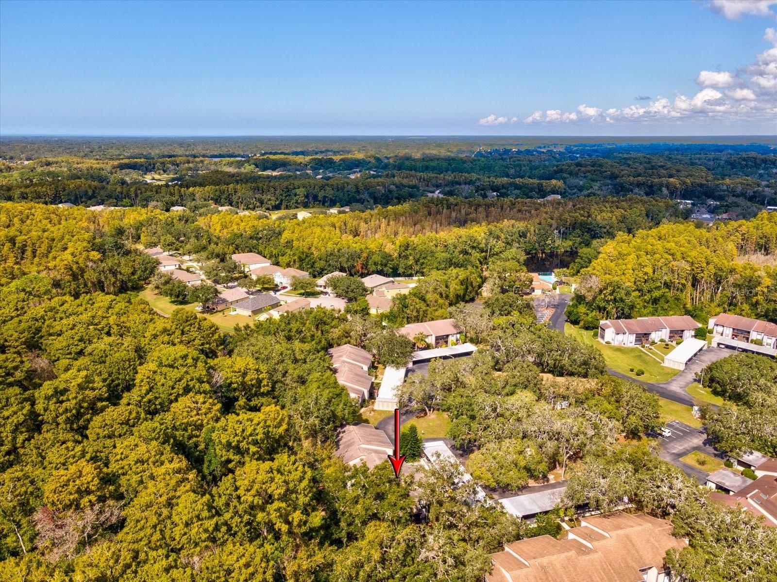 12035 PROCTOR LOOP #5, NEW PORT RICHEY, FL, 34654