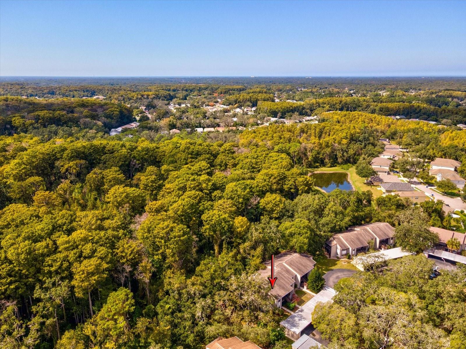 12035 PROCTOR LOOP #5, NEW PORT RICHEY, FL, 34654