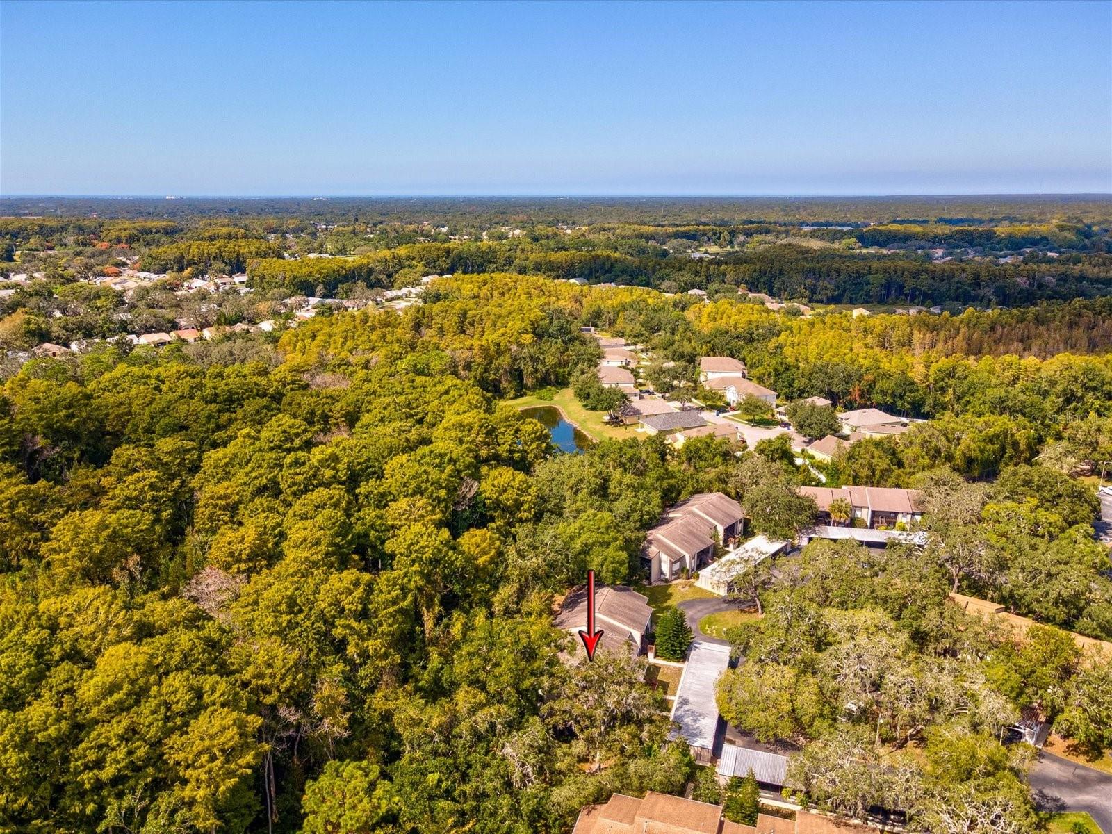 12035 PROCTOR LOOP #5, NEW PORT RICHEY, FL, 34654