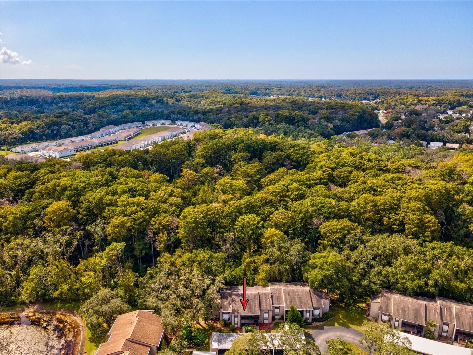 12035 PROCTOR LOOP #5, NEW PORT RICHEY, FL, 34654