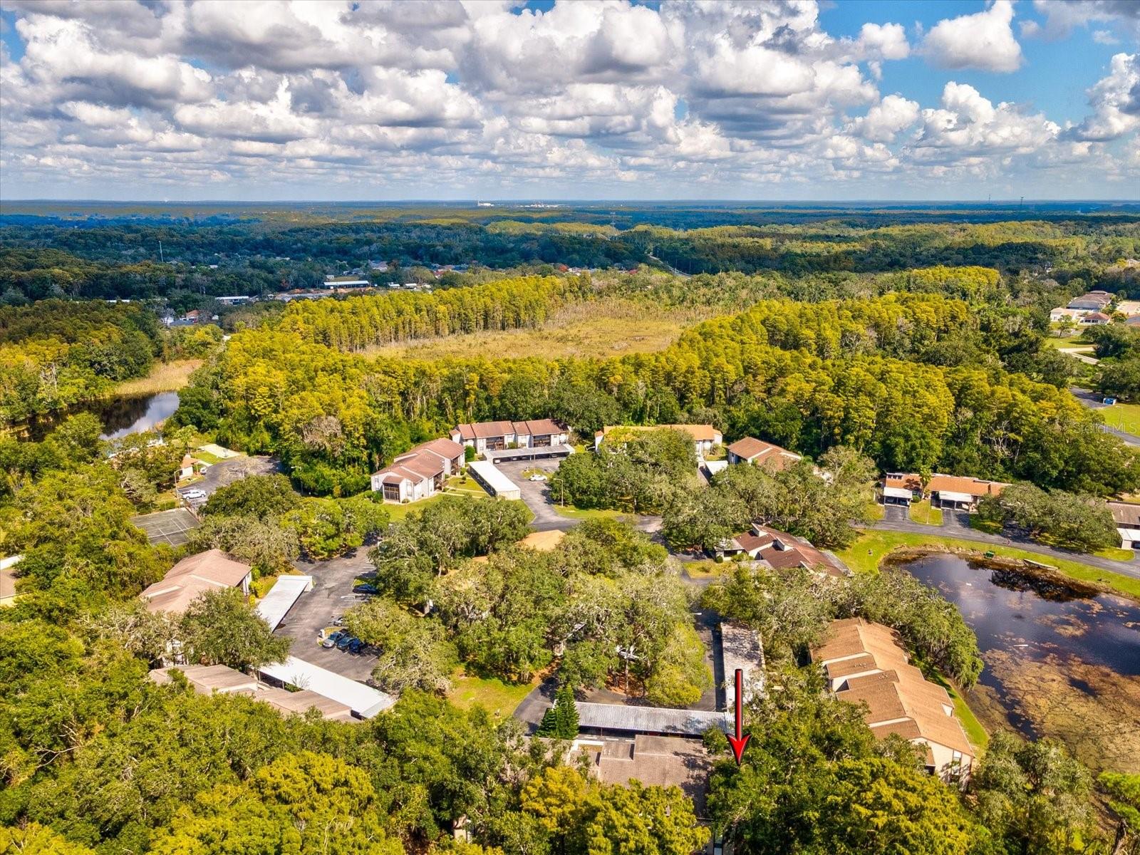 12035 PROCTOR LOOP #5, NEW PORT RICHEY, FL, 34654