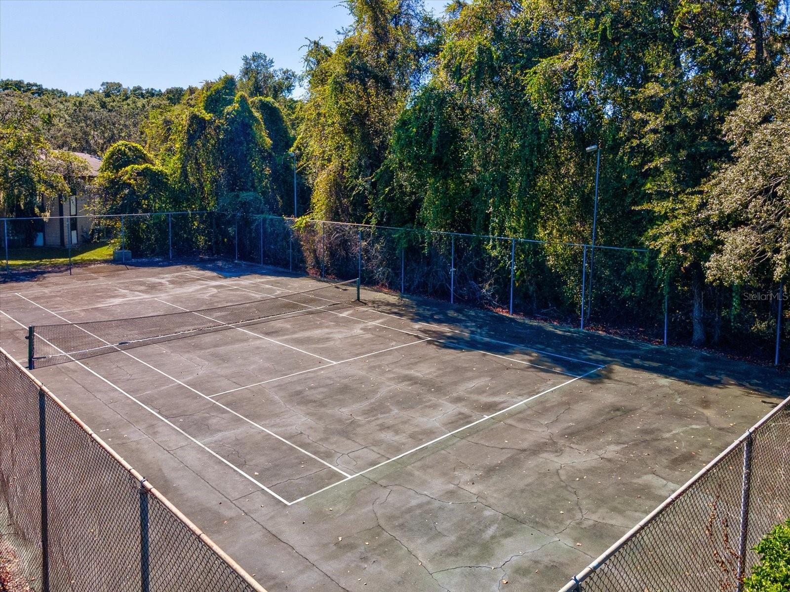 12035 PROCTOR LOOP #5, NEW PORT RICHEY, FL, 34654