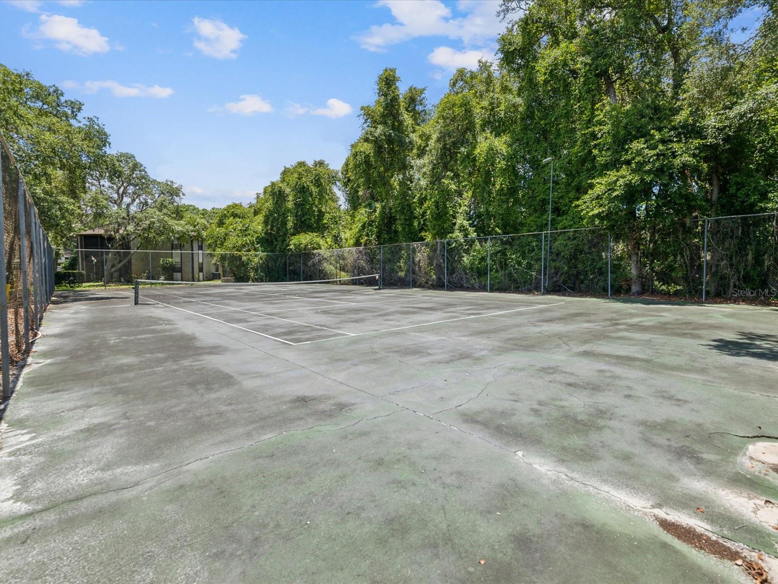 12035 PROCTOR LOOP #5, NEW PORT RICHEY, FL, 34654