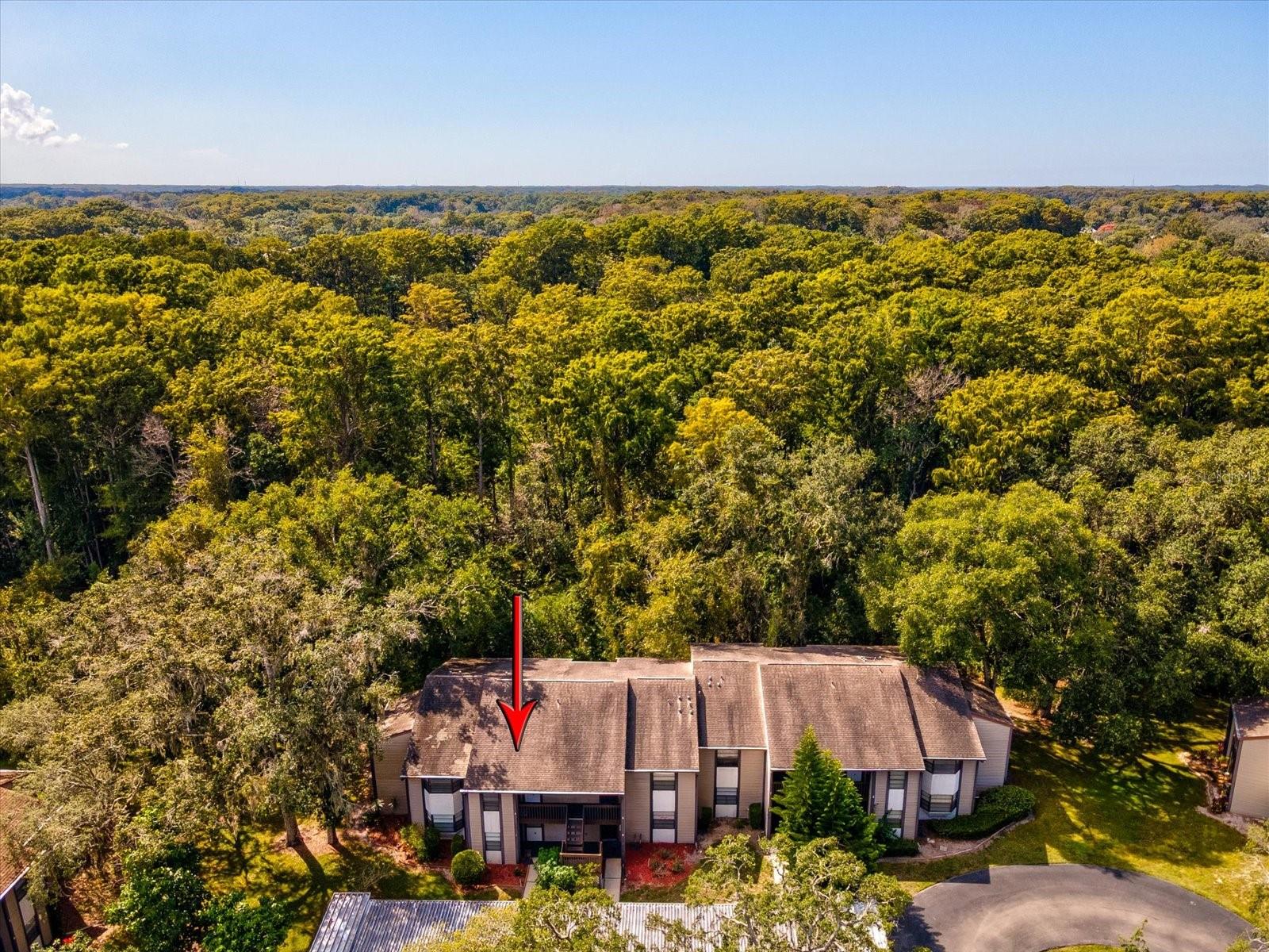 12035 PROCTOR LOOP #5, NEW PORT RICHEY, FL, 34654