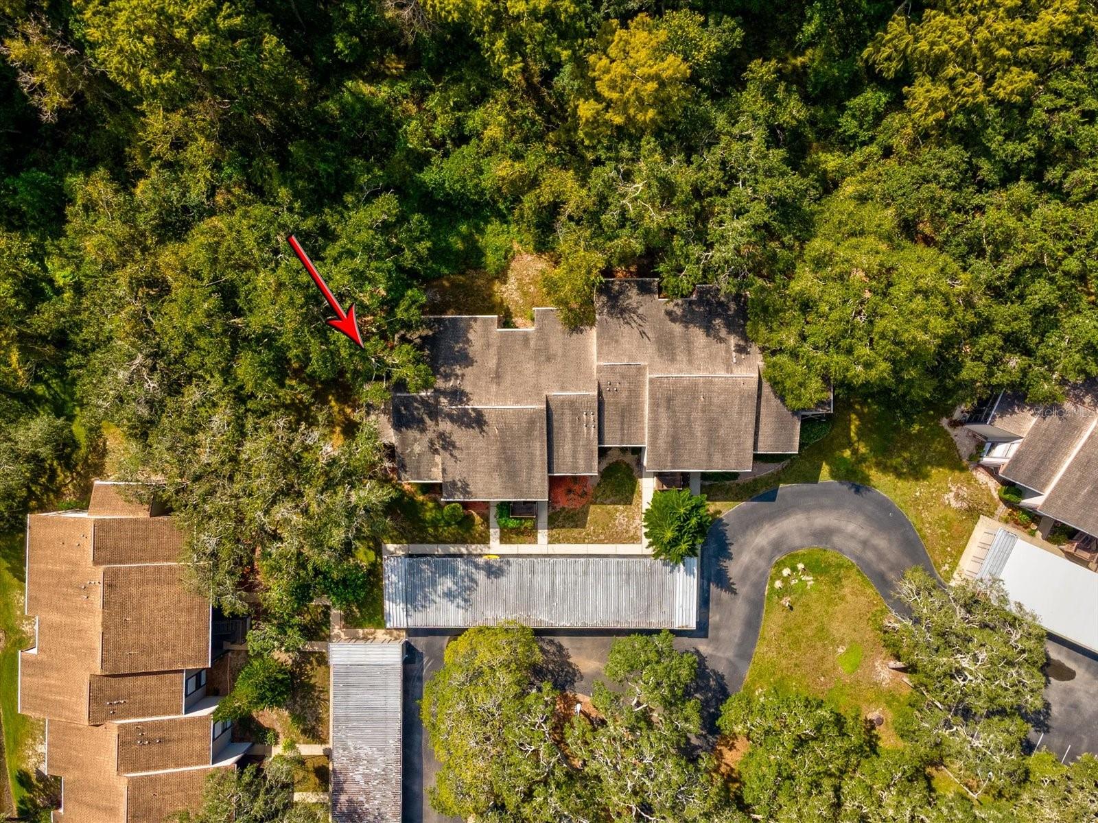 12035 PROCTOR LOOP #5, NEW PORT RICHEY, FL, 34654