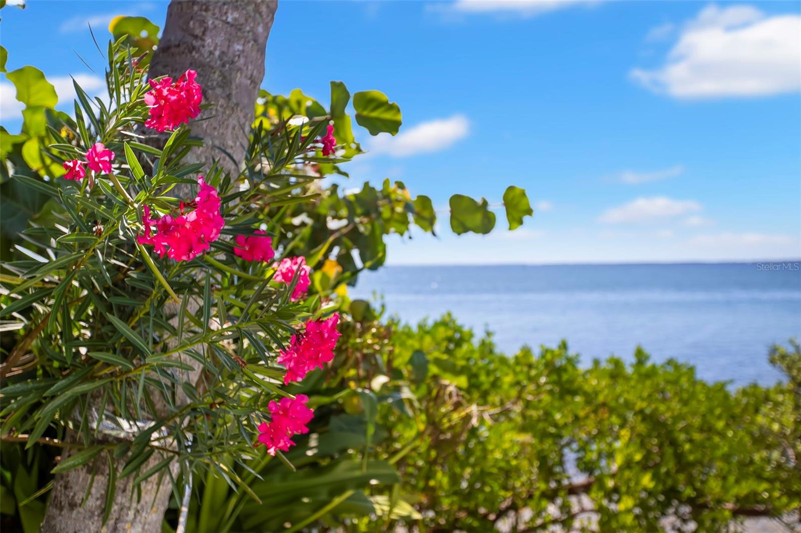 6199 54TH ST S, ST PETERSBURG, FL, 33715