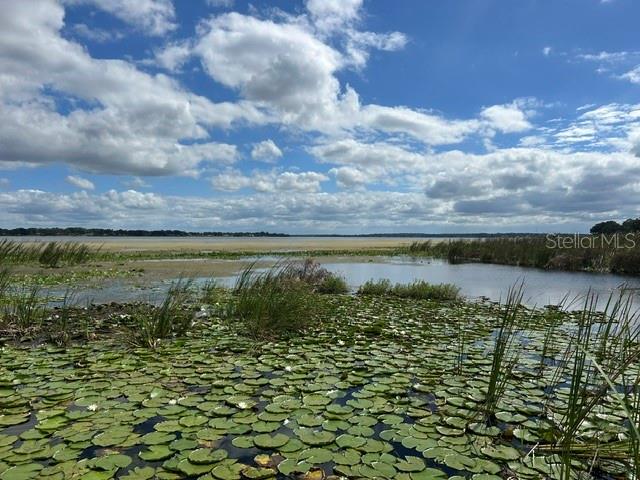 2316 N GRIFFIN DR, LEESBURG, FL, 34748