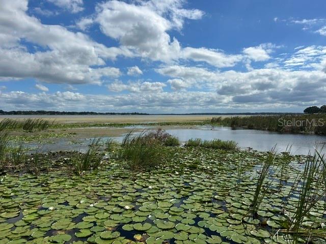 2316 N GRIFFIN DR, LEESBURG, FL, 34748