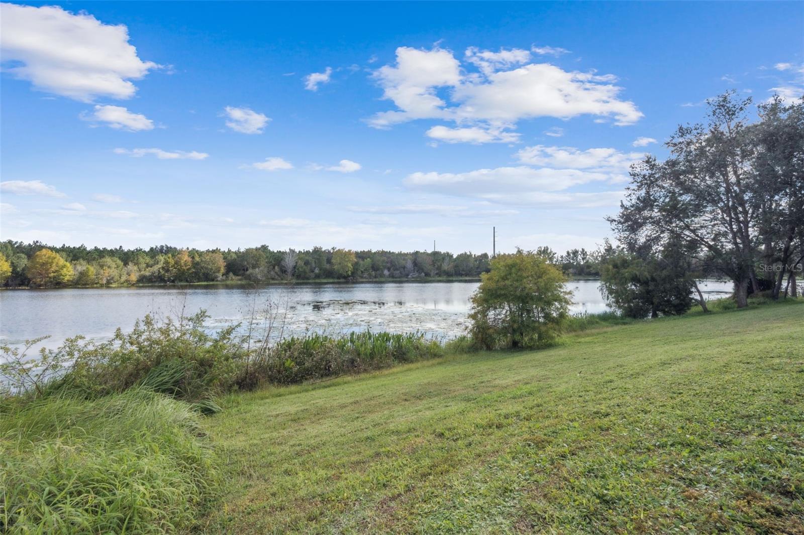 2889 BLOOMING ALAMANDA LOOP, KISSIMMEE, FL, 34747