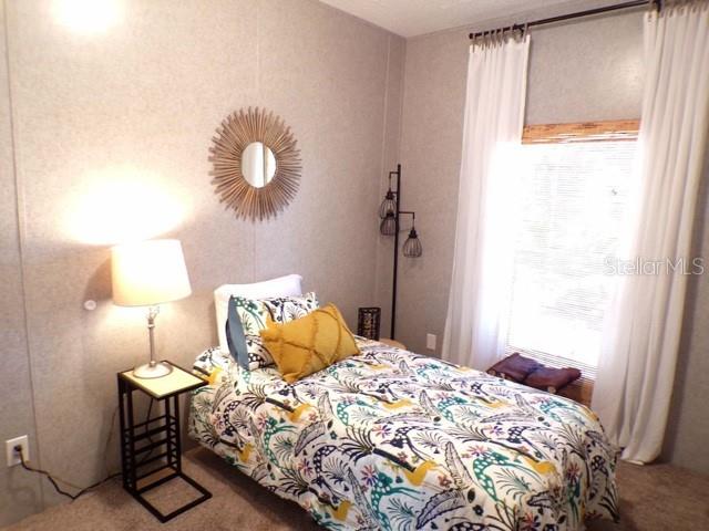 101 TOMAHAWK RD, HAWTHORNE, FL, 32640