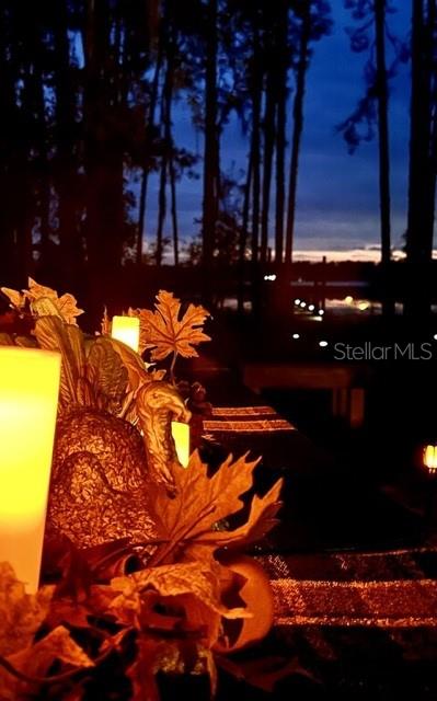 101 TOMAHAWK RD, HAWTHORNE, FL, 32640