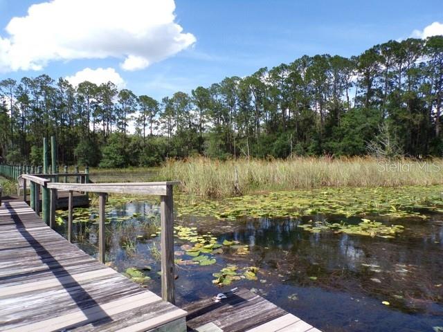 101 TOMAHAWK RD, HAWTHORNE, FL, 32640