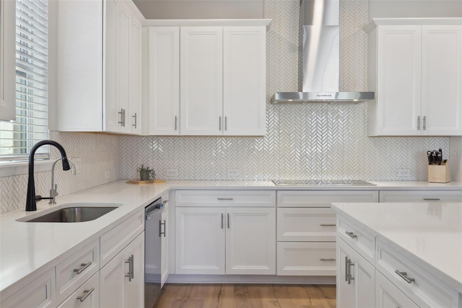 17096 CERCIS LOOP, CLERMONT, FL, 34711