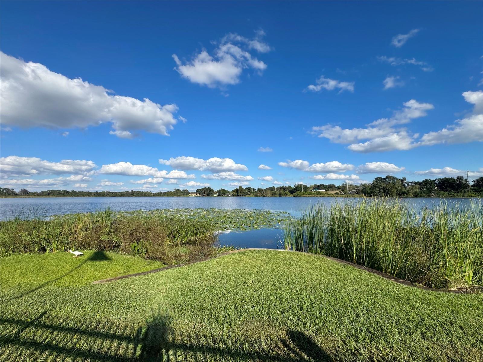 1550 11TH ST NE #D7, WINTER HAVEN, FL, 33881