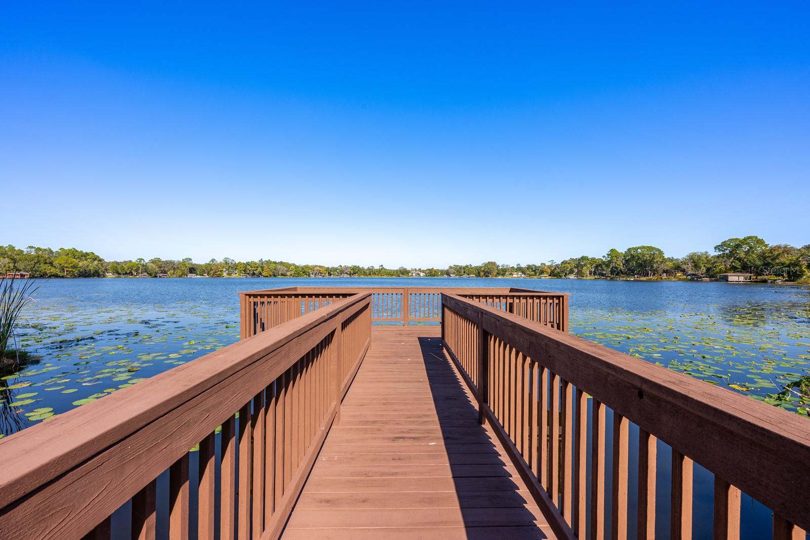 9501 HOLBROOK DR, ORLANDO, FL, 32817