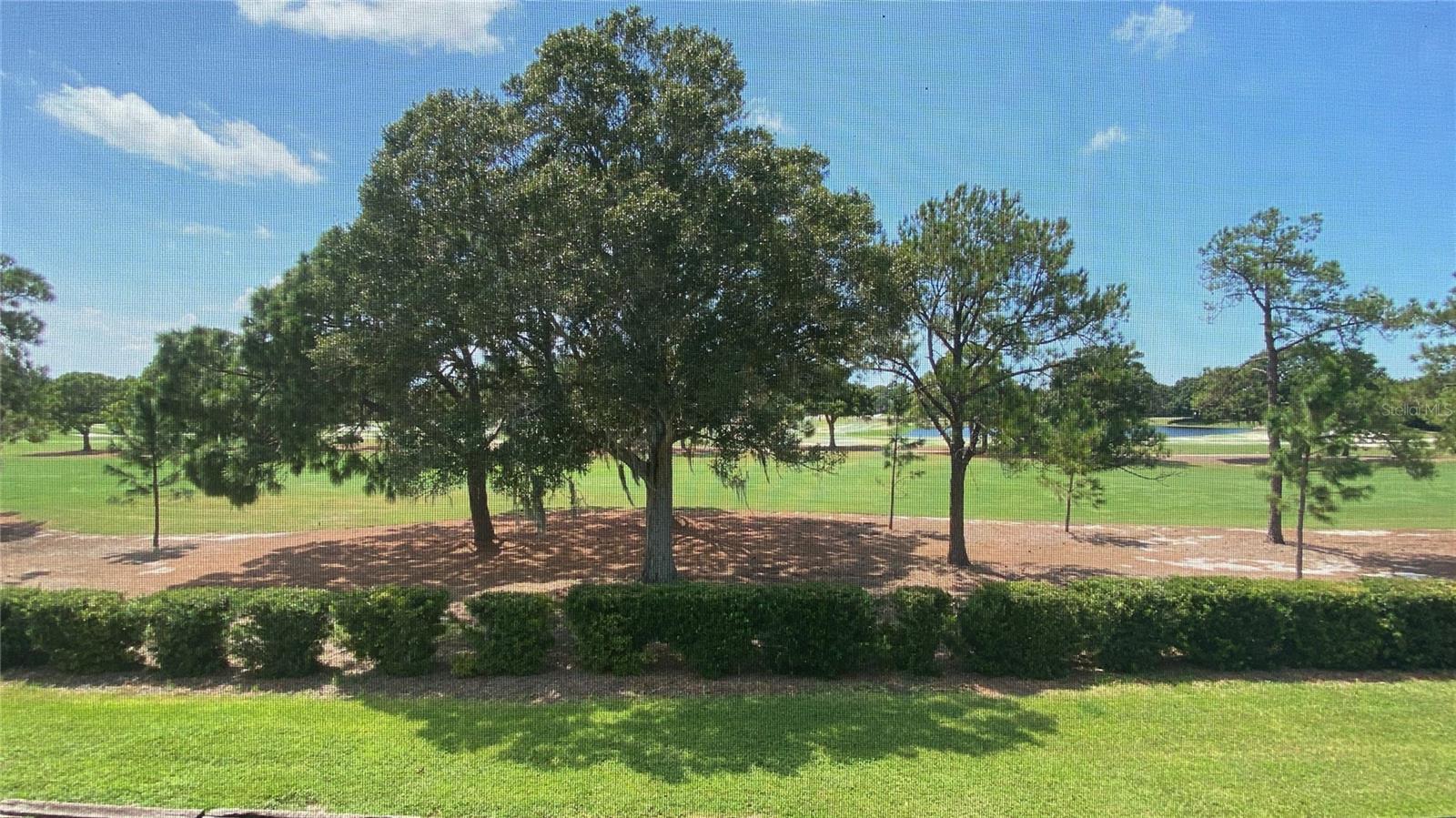 47 PELICAN PL, BELLEAIR, FL, 33756