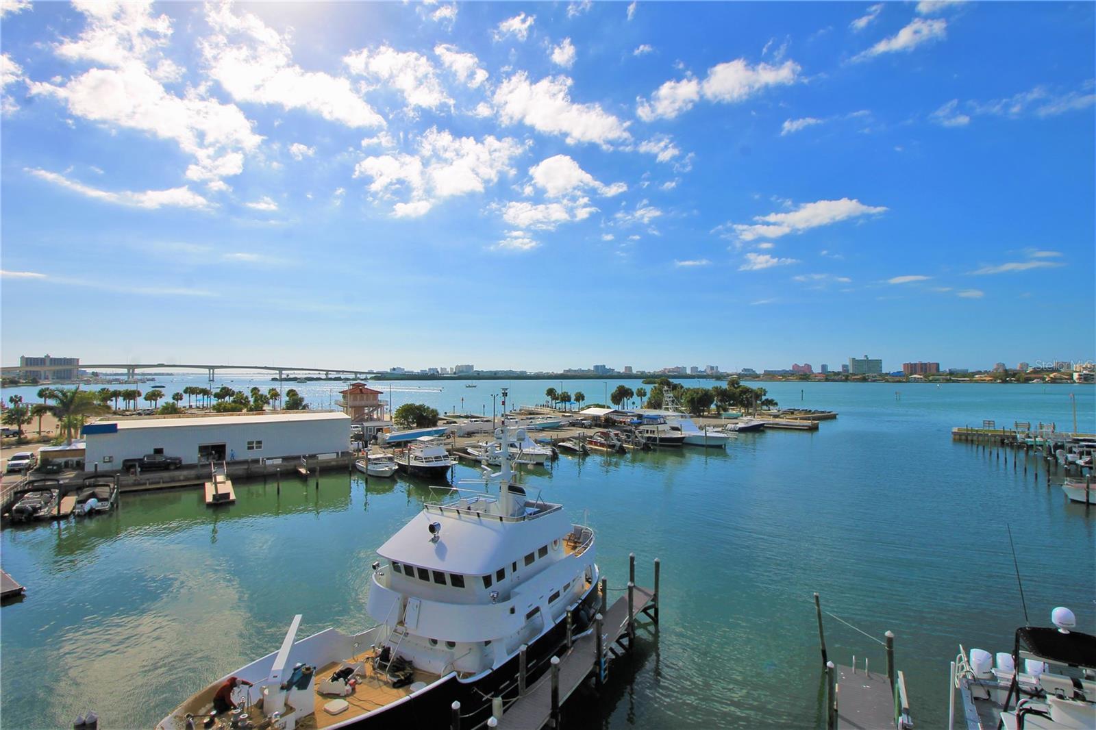 920 N OSCEOLA AVE #409, CLEARWATER, FL, 33755