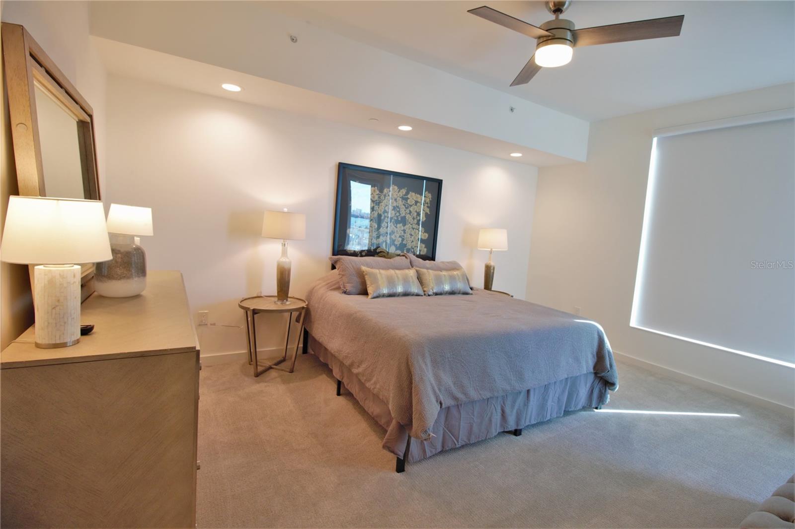 920 N OSCEOLA AVE #409, CLEARWATER, FL, 33755