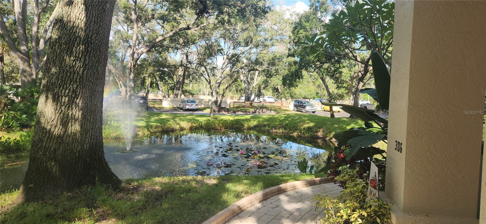 304 Los Prados #304, Safety Harbor, FL 34695