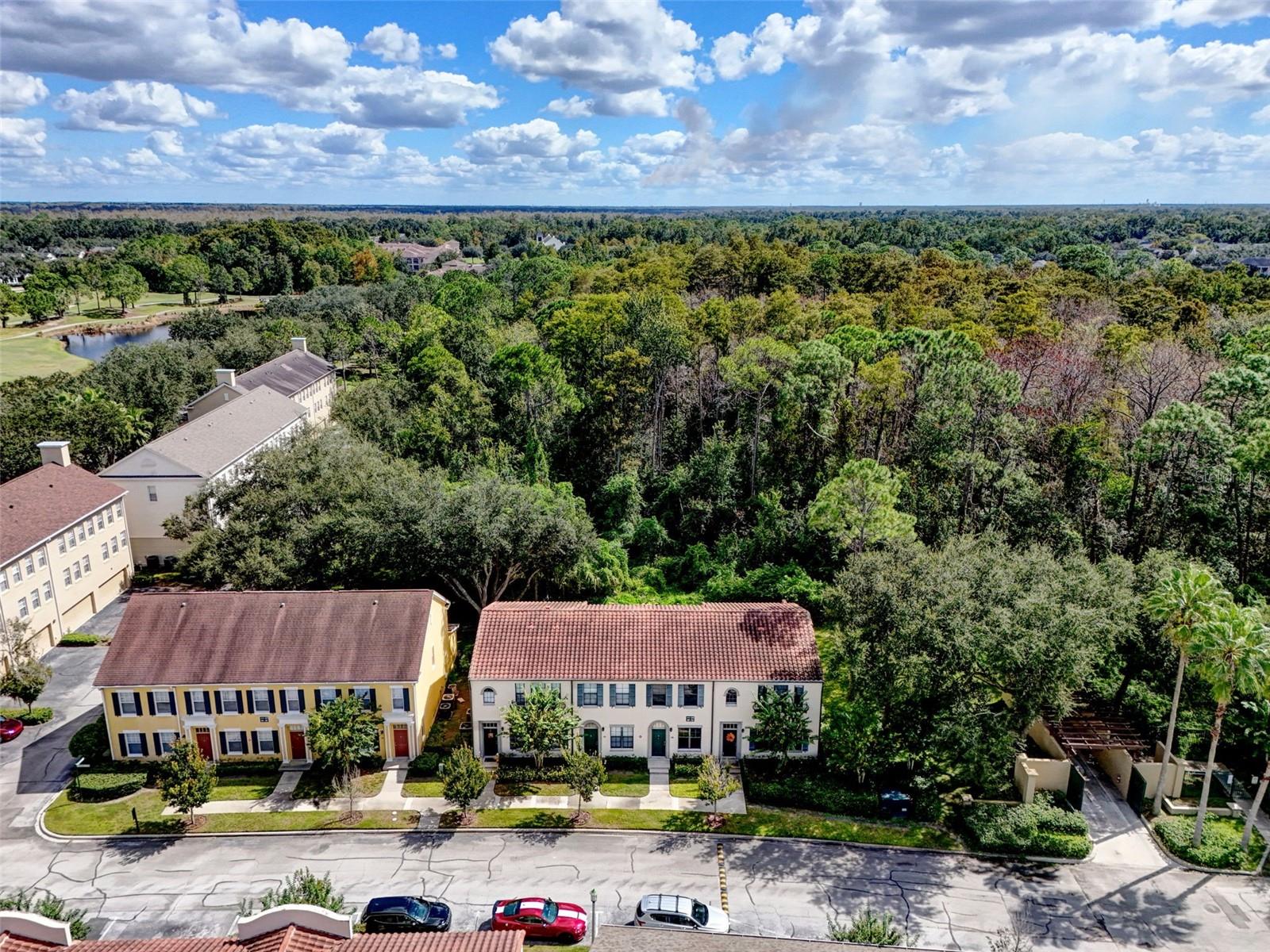 713 CENTERVALE DR, CELEBRATION, FL, 34747