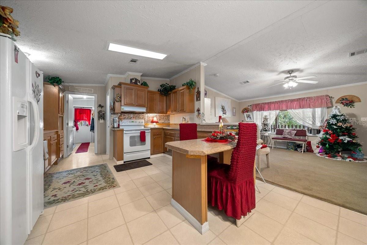 16651 SW 42ND LOOP, OCALA, FL, 34481