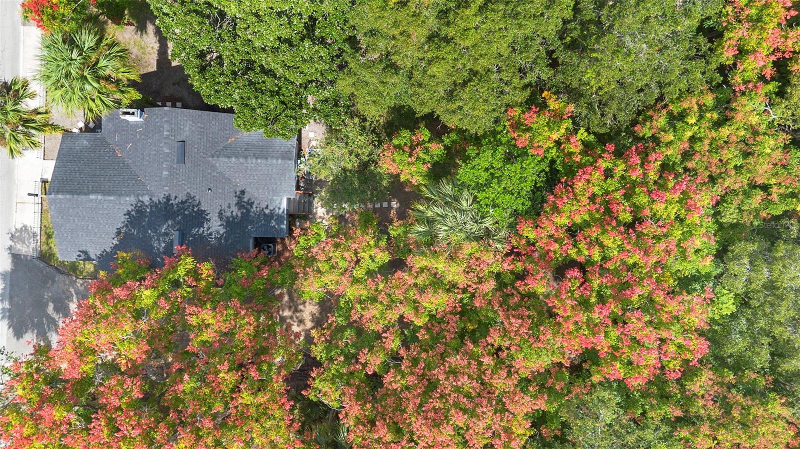 135 S ARLINGTON AVE, DELAND, FL, 32724