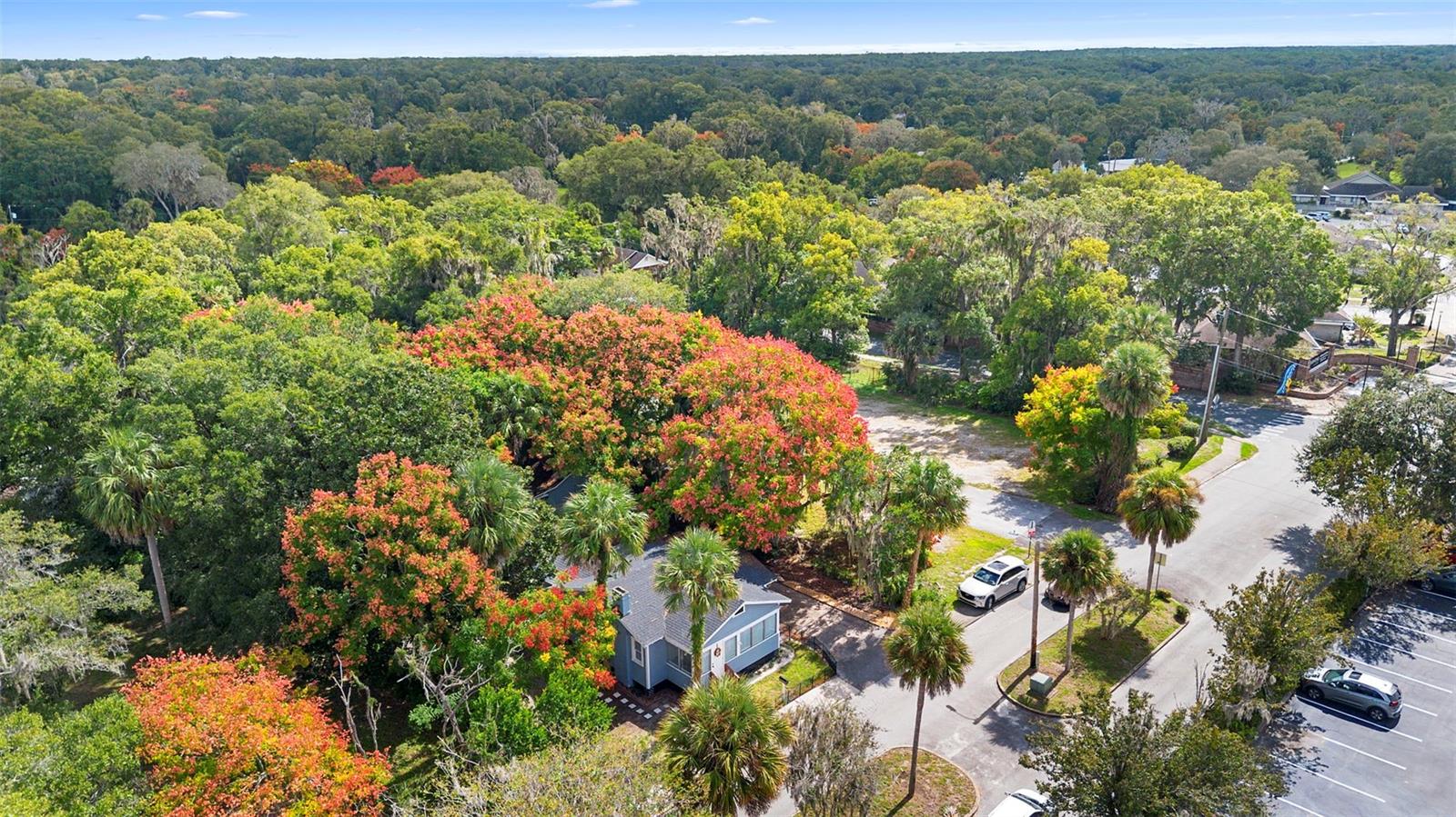 135 S ARLINGTON AVE, DELAND, FL, 32724