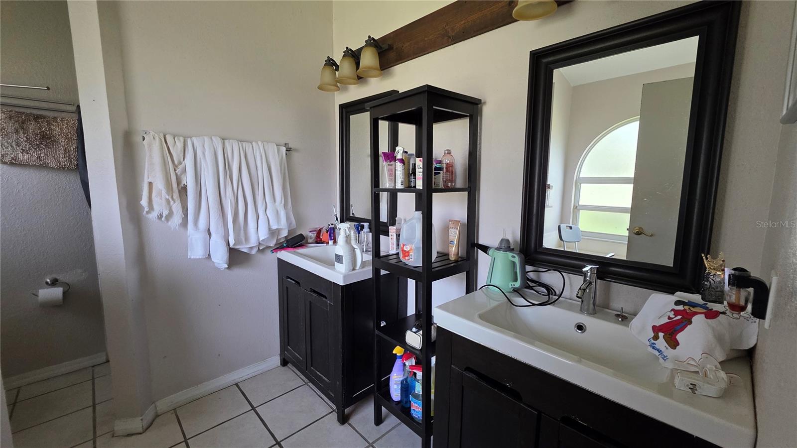 24195 LANDING DR, LUTZ, FL, 33559