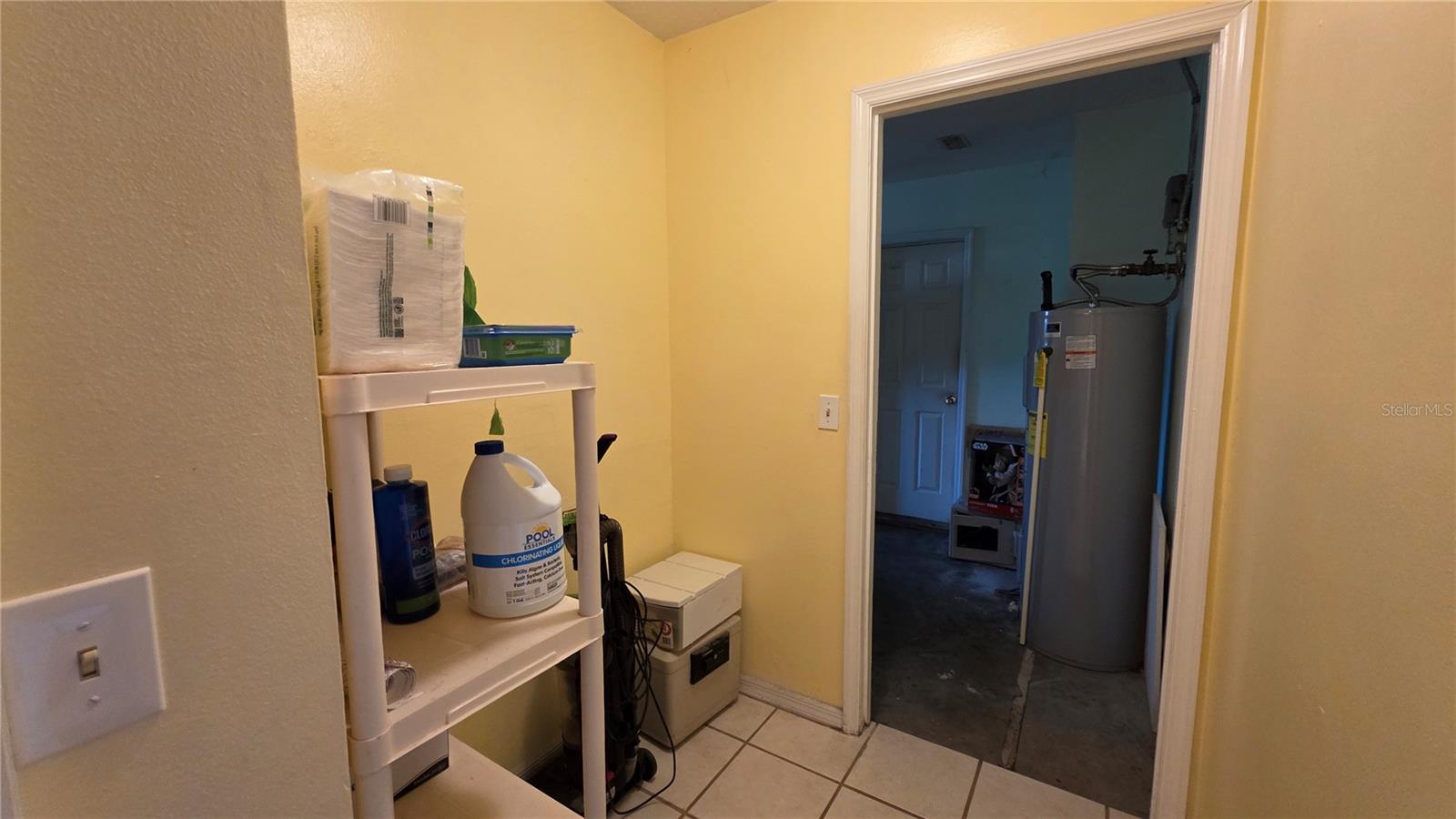 24195 LANDING DR, LUTZ, FL, 33559