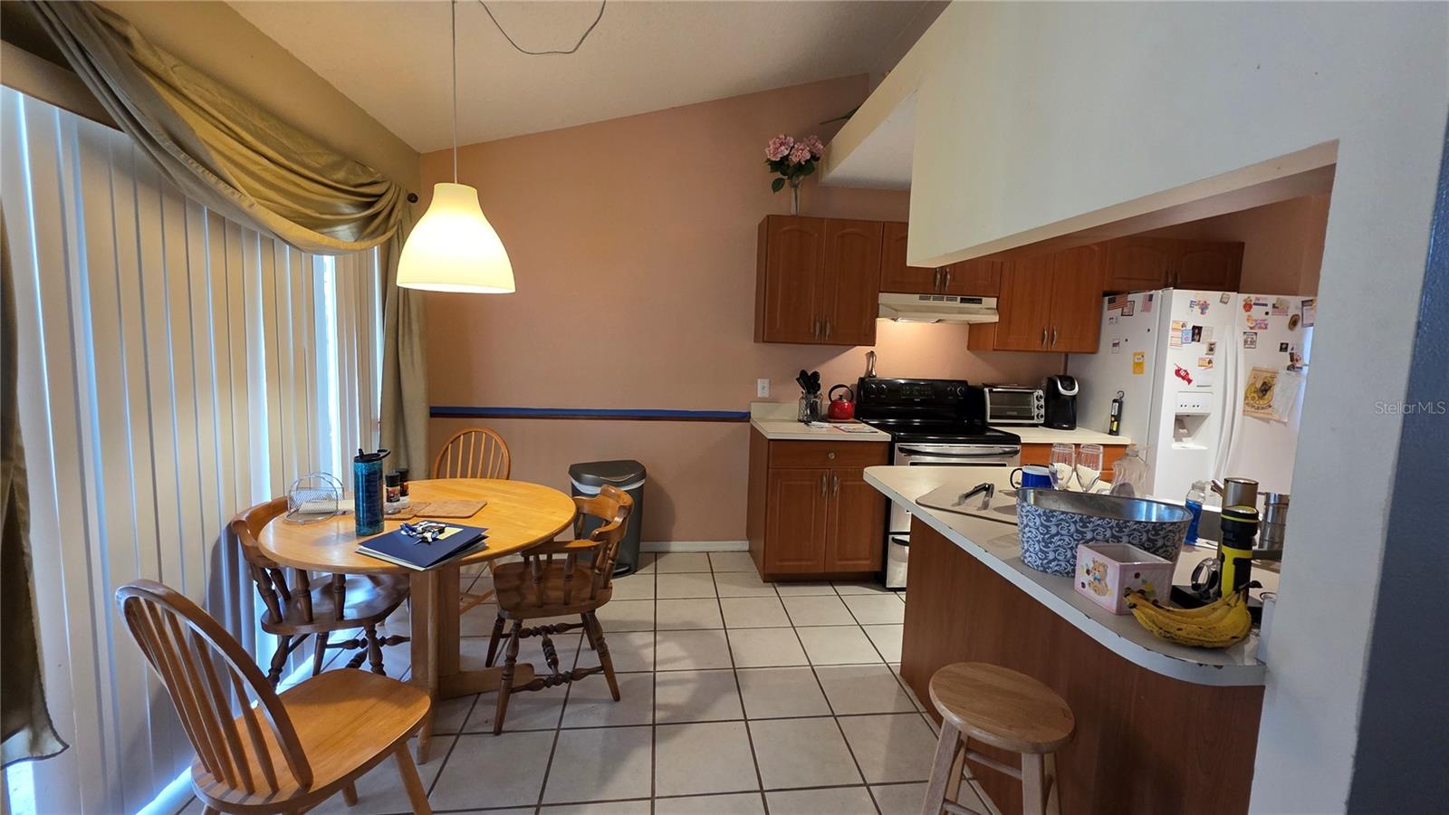 24195 LANDING DR, LUTZ, FL, 33559