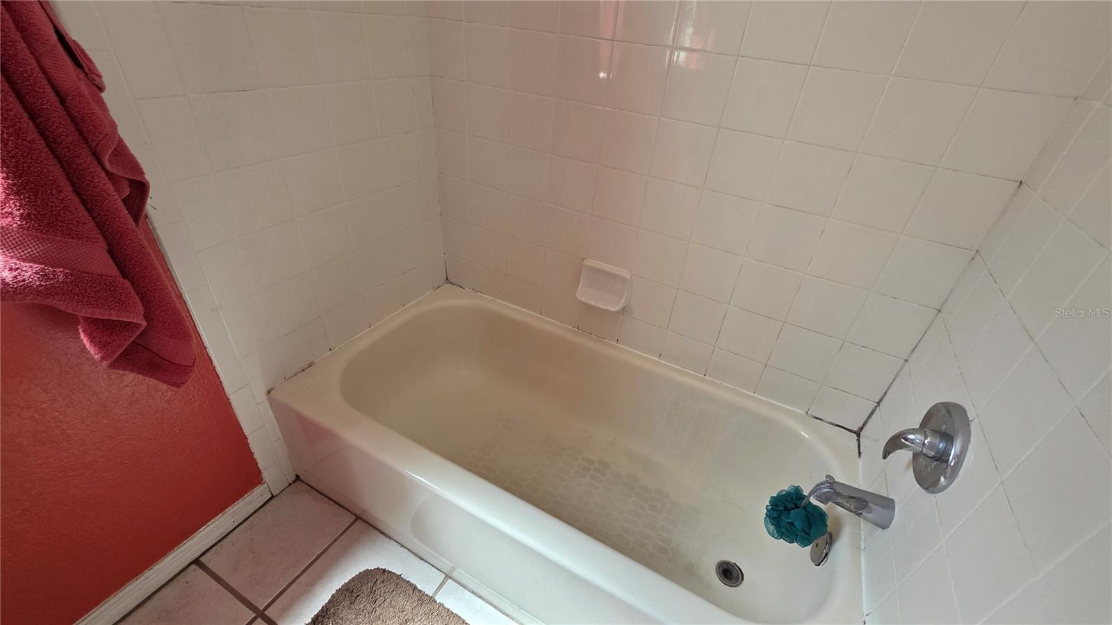 24195 LANDING DR, LUTZ, FL, 33559