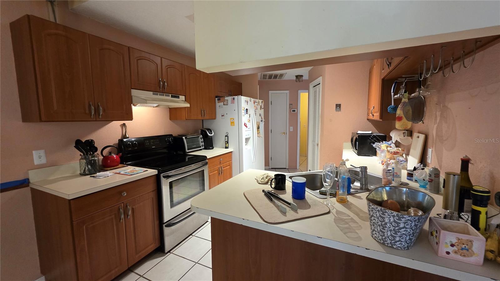 24195 LANDING DR, LUTZ, FL, 33559