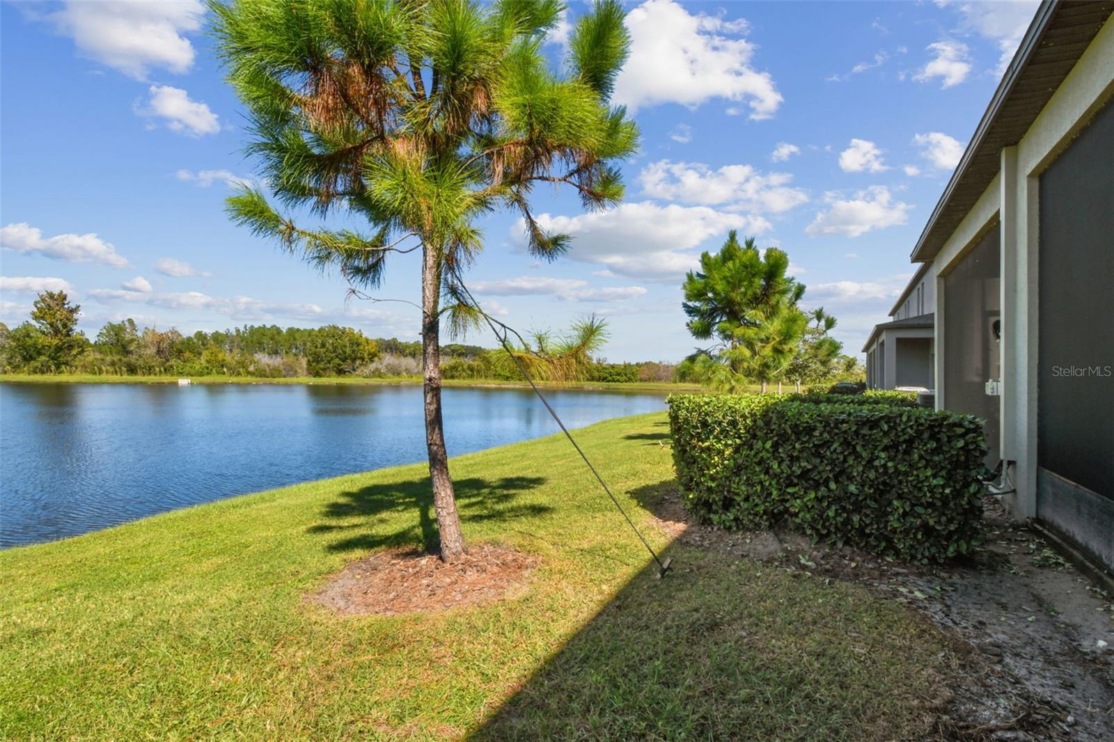21869 ADRIATIC LN, LAND O LAKES, FL, 34637
