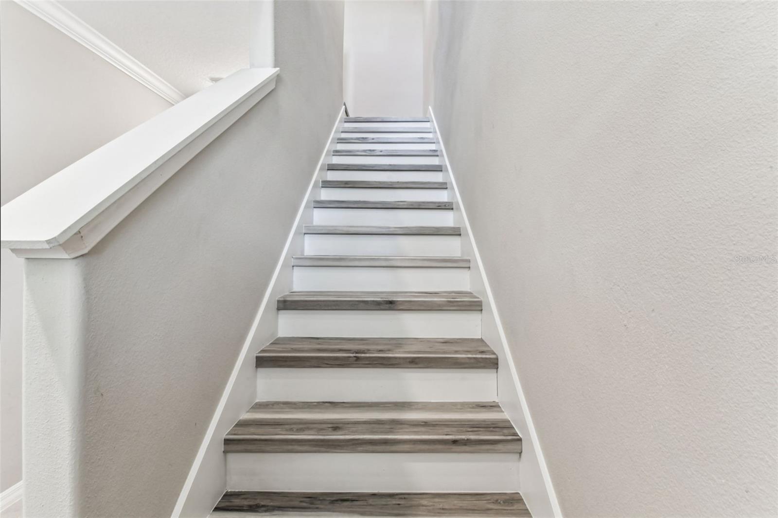 21869 ADRIATIC LN, LAND O LAKES, FL, 34637