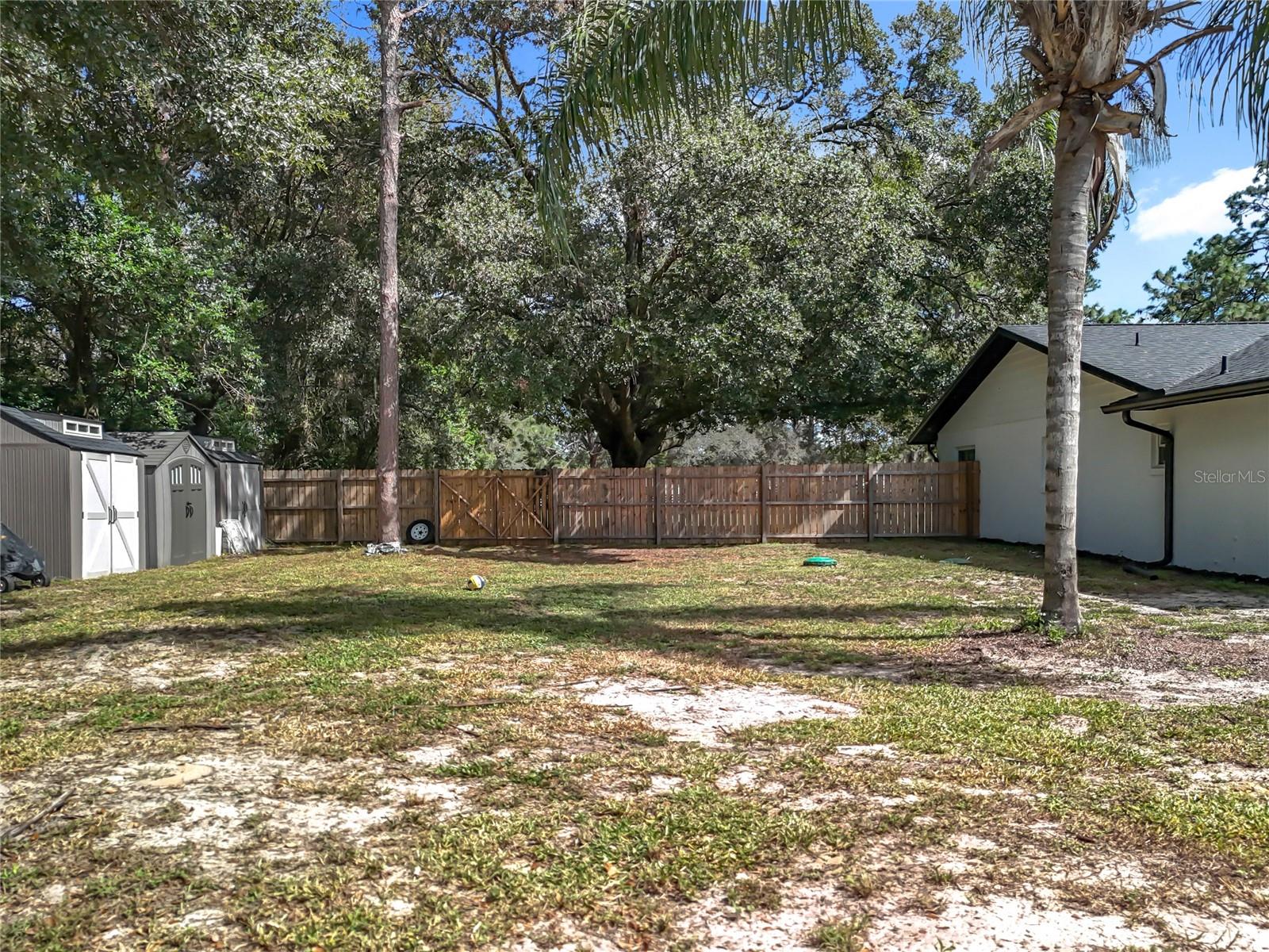 6220 MOUNT PLYMOUTH RD, APOPKA, FL, 32712