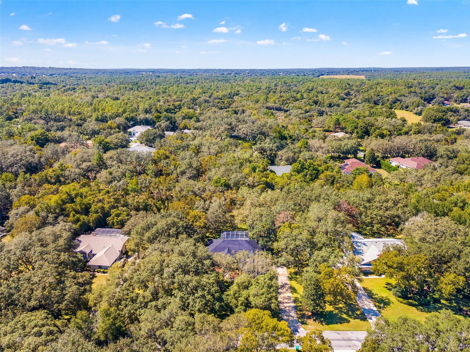 4130 N INDIANHEAD RD, HERNANDO, FL, 34442