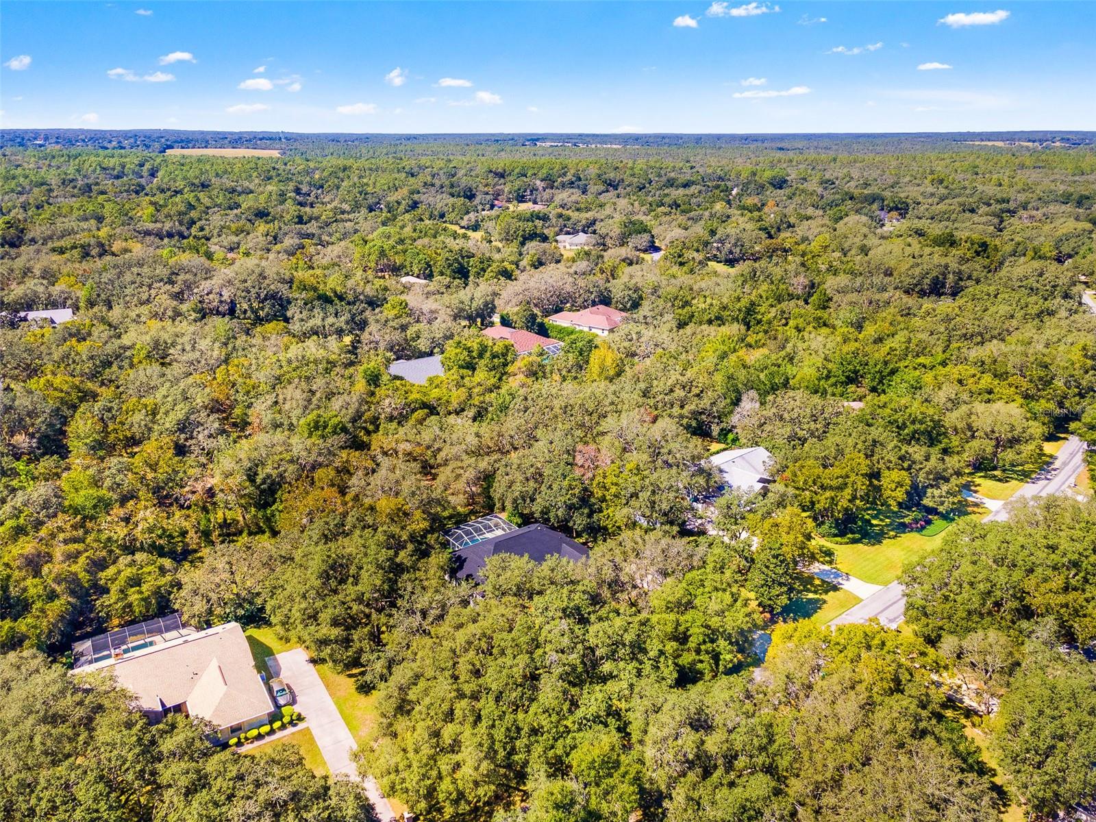 4130 N INDIANHEAD RD, HERNANDO, FL, 34442