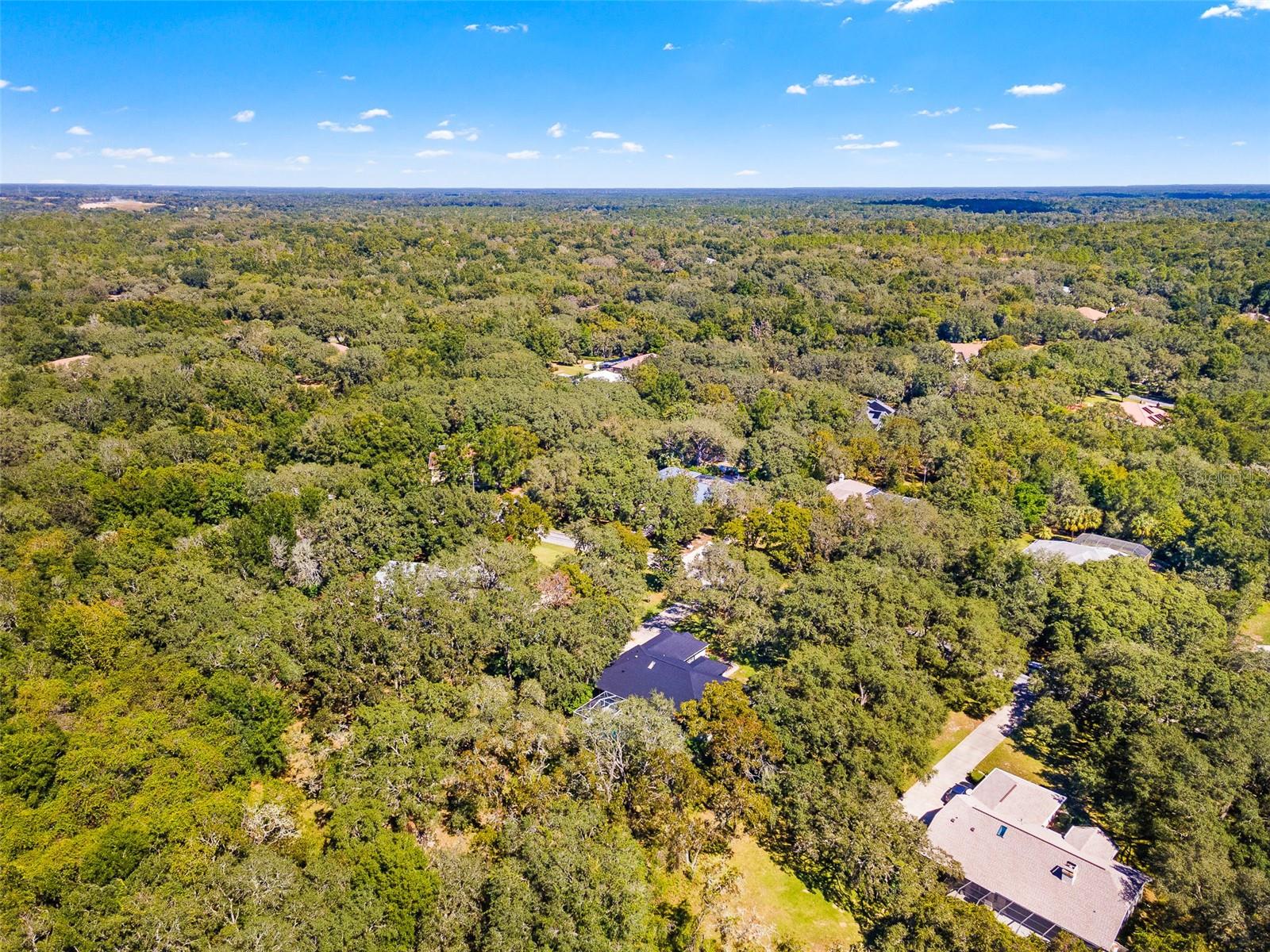 4130 N INDIANHEAD RD, HERNANDO, FL, 34442