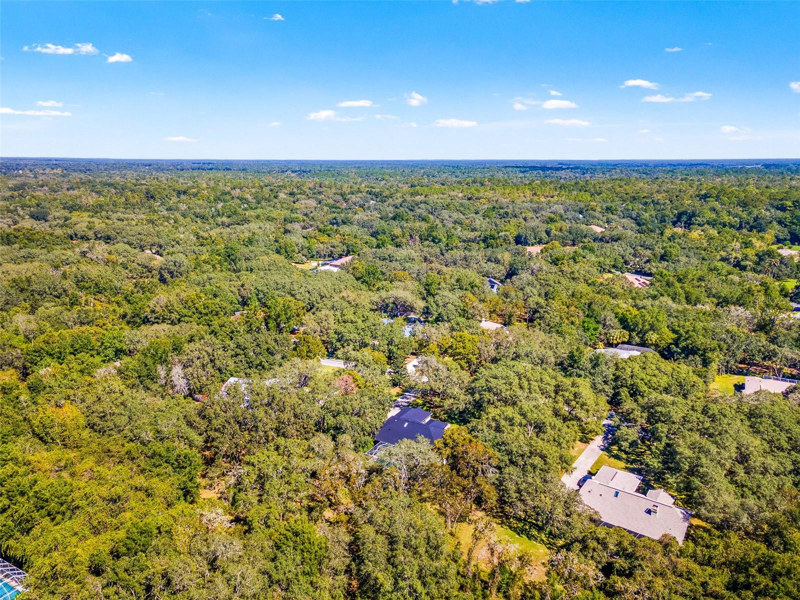 4130 N INDIANHEAD RD, HERNANDO, FL, 34442