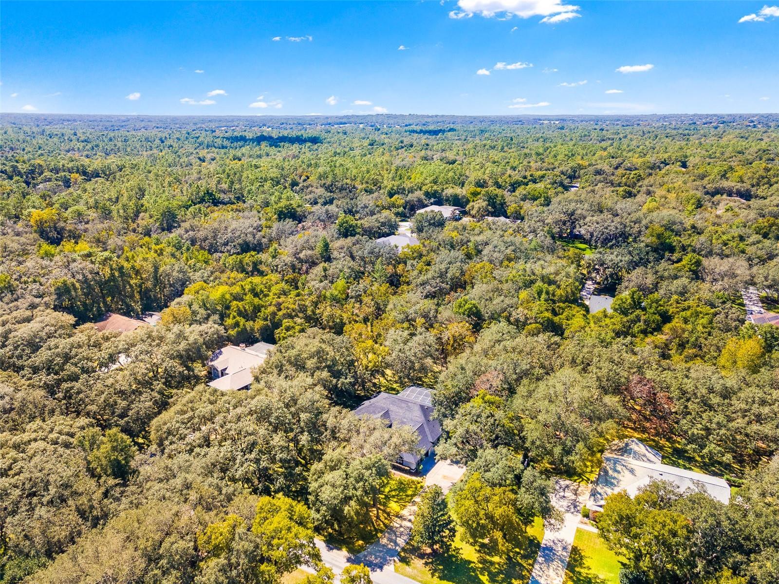 4130 N INDIANHEAD RD, HERNANDO, FL, 34442