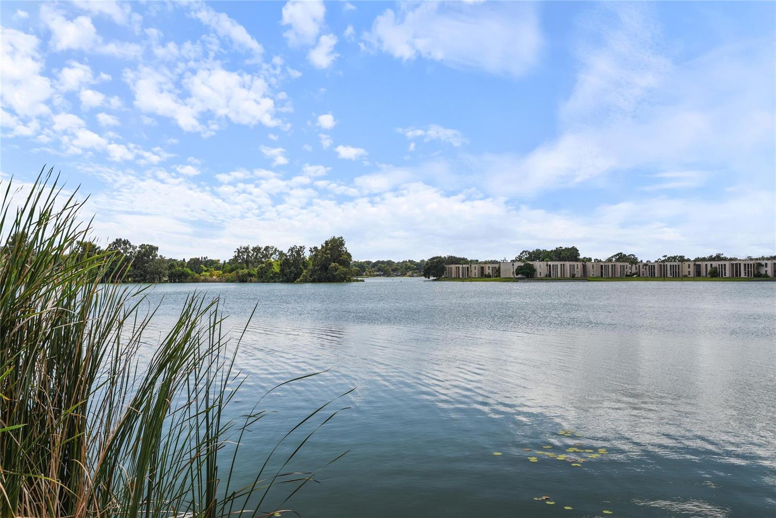 O6353665 Property Photo