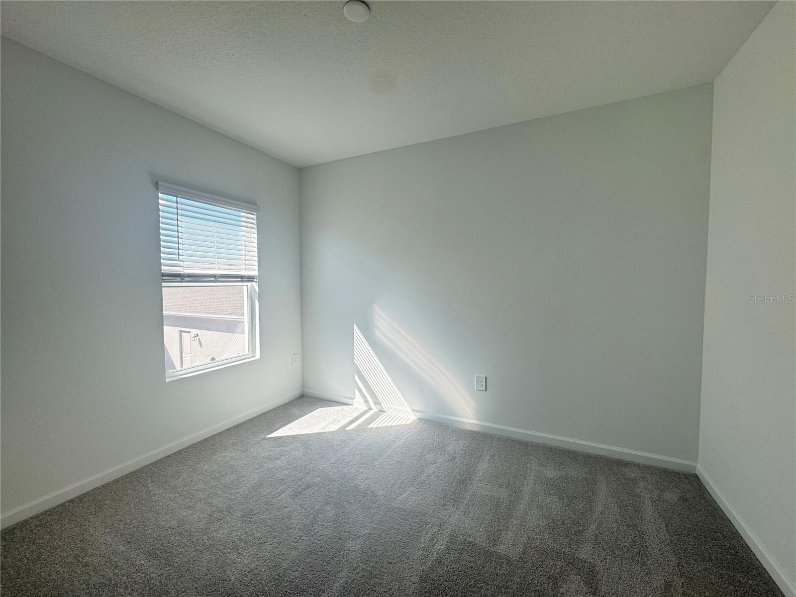 2286 WHITE BUFFALO ST, APOPKA, FL, 32703