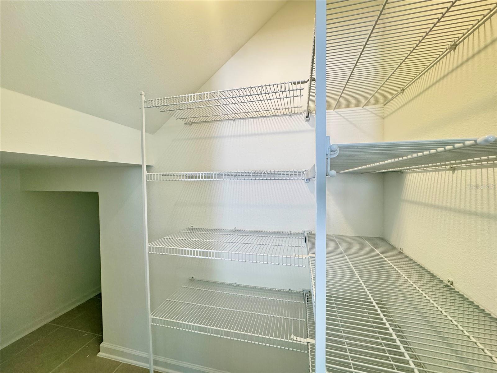 2286 WHITE BUFFALO ST, APOPKA, FL, 32703